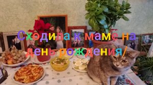 Сходила к маме на день рождения/