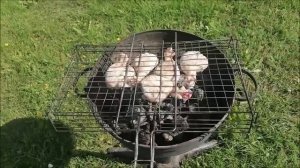 Жарим с Дым-Дымычем шашлык