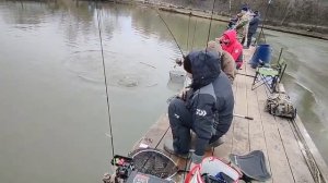 Снова Дохна