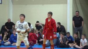 Боевое самбо