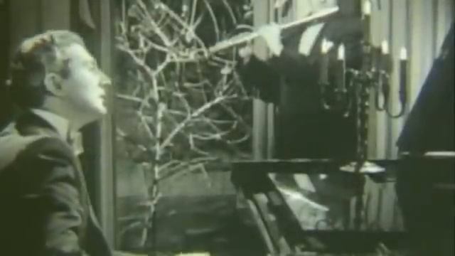 Liberace Autumn Leaves