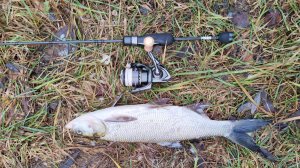 Десна. XUL(микро-воблеры и микро-блесны) 18 декабря 2025 года