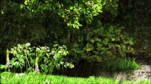 Дождь. Как же он надоел за это лето...