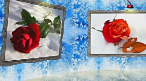 Картины Розы на Снегу в Ледяной Галерее 1 от Киностудии Мудрого Кота Тимофея!