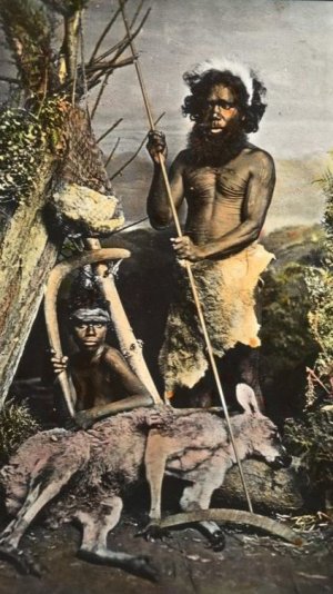 УЖАСЫ АВСТРАЛИИ