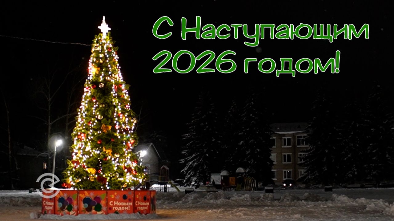 С наступающим Новым 2026 годом!