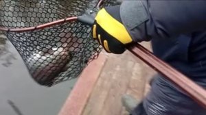 Продолжаем ловить на Спорт-зоне. Клёвое место лосиный остров.