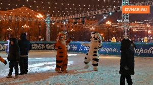 Предновогодние гулянья прошли на площади имени Ленина