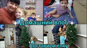 Домашний влог. Ставим ёлку. Вкусно готовим.