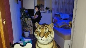 игра в зомби