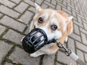 тупые лайфхаки от кисы