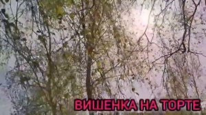 КИСЕЛЁВА ПОМОЙКА. МАСКИ СОРВАНЫ. ВСЯ ПРАВДА. ОЛЬГА ИЗ ЗАУРАЛЬЯ. ОБЗОР.