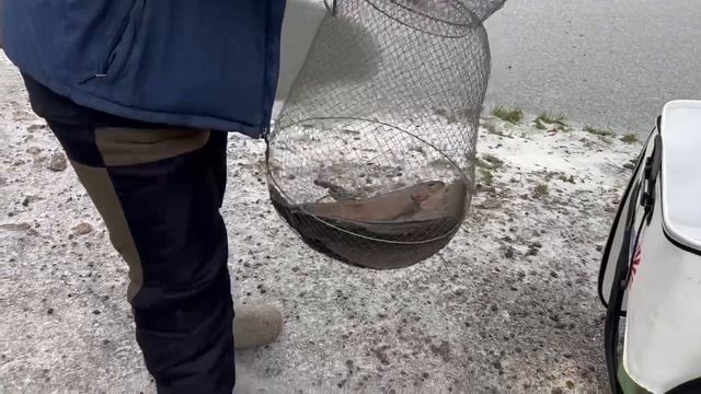 21.12.25 г. РК Волна. смотреть онлайн