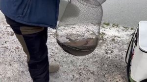 21.12.25 г. РК Волна.