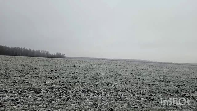 Иний покрыл берёзы серебрянным кружевом смотреть онлайн