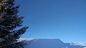 Наша елка в снежном уборе