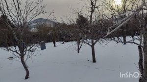 ,, Садовые сновидения,,