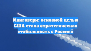 Макговерн: основной целью США стала стратегическая стабильность с Россией