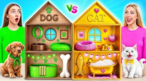 ℹ️ Строим Секретные Домики для Животных | Богатая Кошка vs Бедная Собака c Multi DO Smile