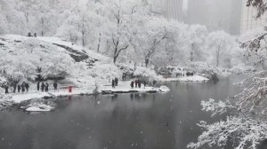 Прогулка по снегу на Манхэттене, Нью-Йорк, Виртуальный тур в снегопад.