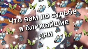 Что вам по судьбе в ближайшие дни / РАСКЛАД ТАРО