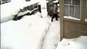 Всем, кто живет в своих домах, посвящается 😂