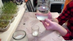 21-12-2025 Проверяю козу на беременность.