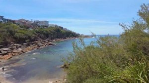 Шумный Сидней прогулка от Бронте до Куджи вдоль океана 🌊