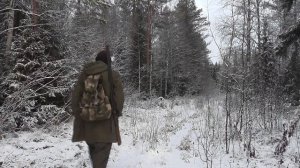 Крайняя охота по рябчику в этом сезоне...