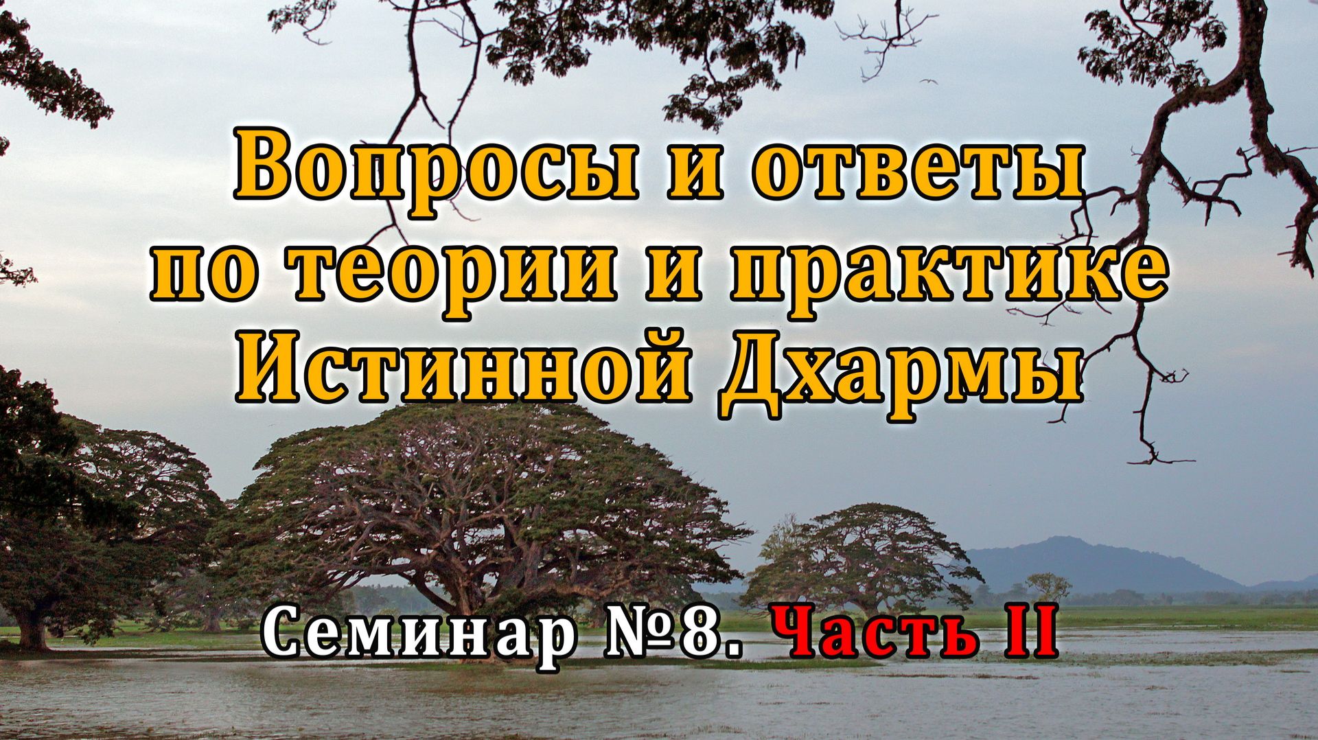 Вопросы и ответы по теории и практике Истинной Дхармы. Семинар №8. Часть II смотреть онлайн
