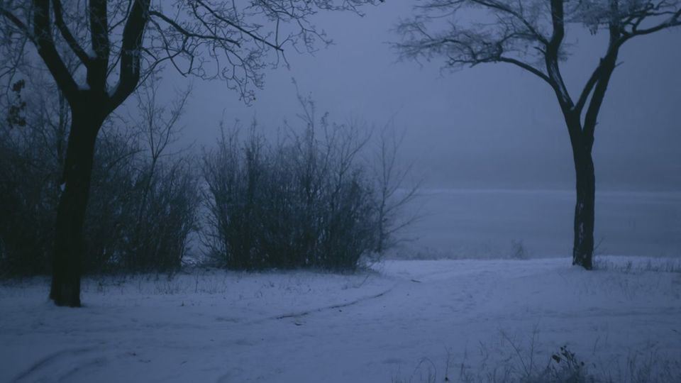 Песня-новый год новый год ёлка шарики хлопушки смотреть онлайн