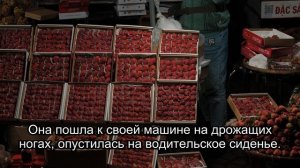 Пропавшая свадьба: Открытие после 12 лет в Приокском заповеднике (Часть 4)