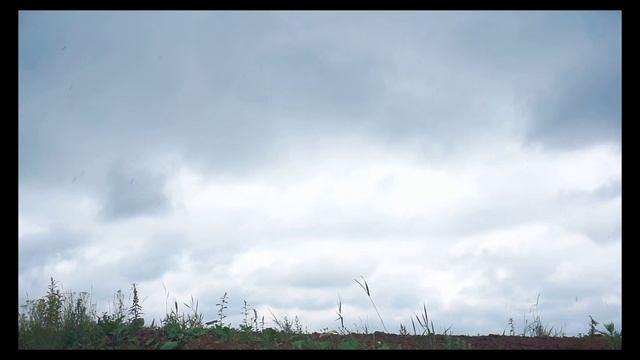 я показал вам четыре знака зодиака.mp4