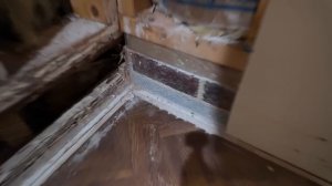 Как ТЕРМИТЫ съедают дома в США(Rastorguev 🏡)