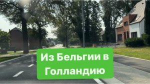Разговоры по дороге в Голландию. Как живут бельгийцы. #ежедневныйвлог #бельгия #голландия#мысливслух