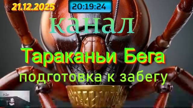Мадагаскарские Тараканы стрим от 21.12.2025 смотреть онлайн