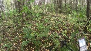 когда мужики копают . металлопоиск