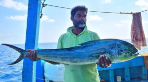 Вкуснейшее карри из рыбы барамунди или просто дорадо с кокосом, пойманное в глубокое море