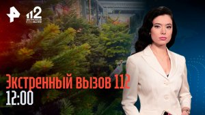 Ловля охотников на бесплатные елки / Пропавших под Самарой детей нашли / Экстренный вызов 112