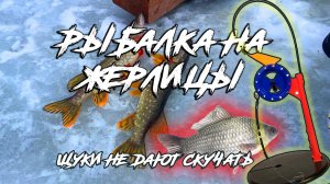 Рыбалка на жерлицы. Начало зимнего сезона '25-26г.