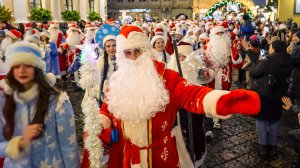 Километровая колонна Дедов Морозов и Снегурочек прошла по Гродно праздничным шествием