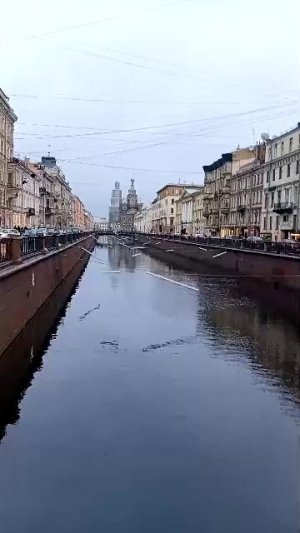 мы в доме книги