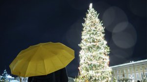 Всероссийский Дед Мороз зажег главную елку на Дворцовой площади Петербурга