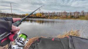 ОГРОМНАЯ ЩУКА НА МАЛЕНЬКОМ ПРУДУ. Рыбалка на спиннинг