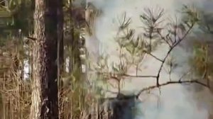 Топ мощных петард 2025🧨