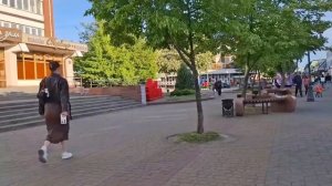 РАССАДНИК ВОНИ И ПРЫЩЕЙ! ANYANASTYA LIFE. ОБЗОР.