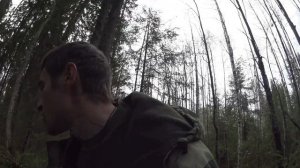 Выезд N 7. Приехал друг. Немного охоты. Отстрел патронов. Сбор клюквы окончен...