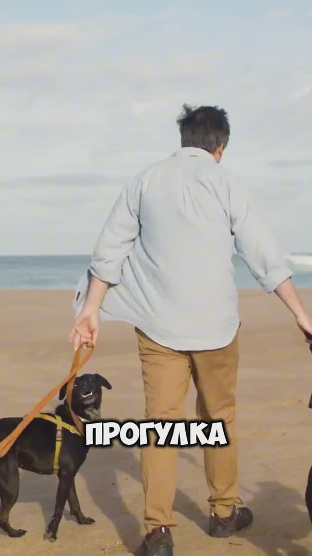 Лайфхак №3 для борьбы с выгоранием на удаленке! смотреть онлайн