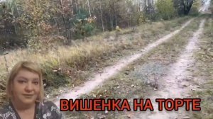 МОРДА В КАМЕРУ НЕ ВЛАЗИТ. ANYANASTYA LIFE. ОБЗОР.