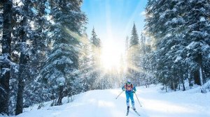 (ч.1)Берёзовая роща(вет.институт)